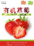 草莓海报