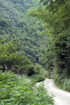 山路