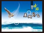 诚信中国 展翅高飞 和平鸽