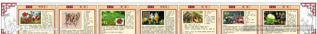 十大名药