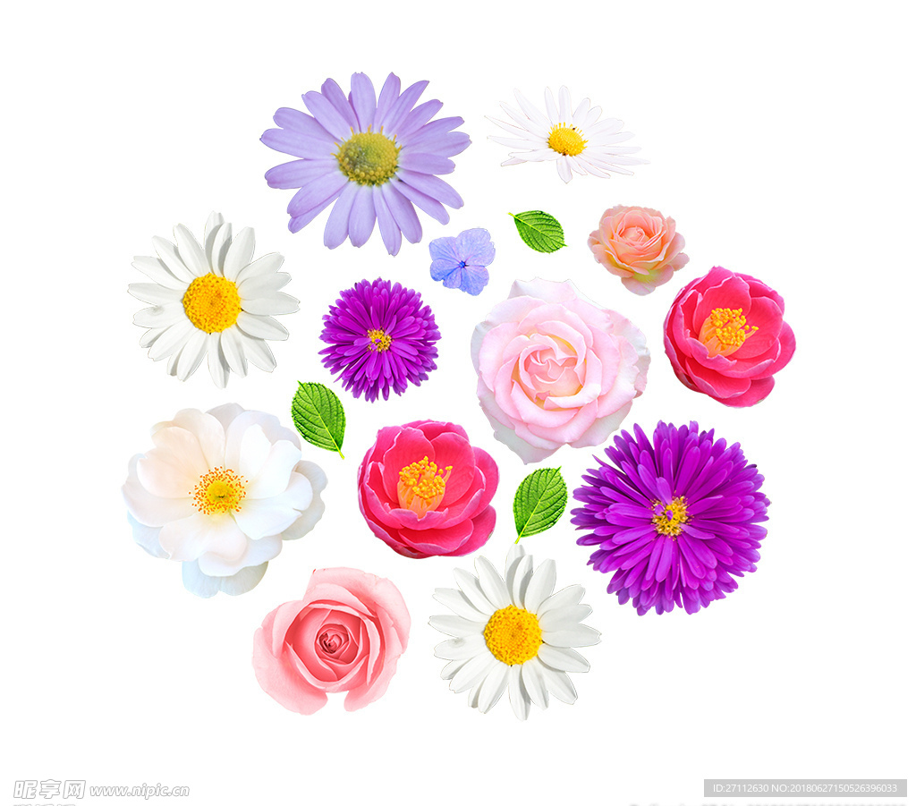 鲜花