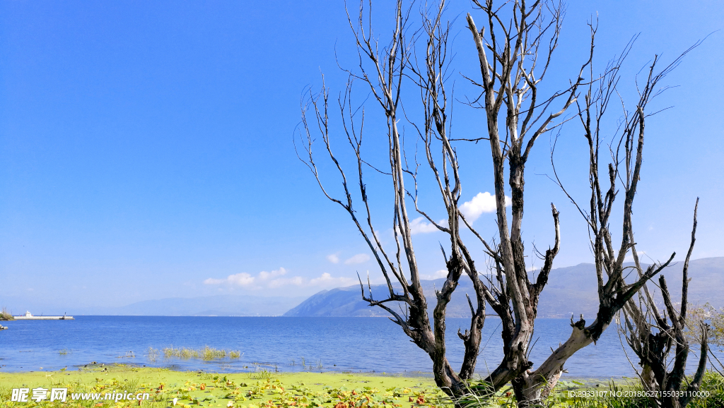 湖海