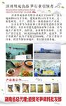 漳州明成食品版面