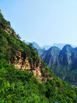 青山