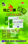 复方青果颗粒海报