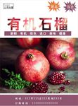 石榴海报