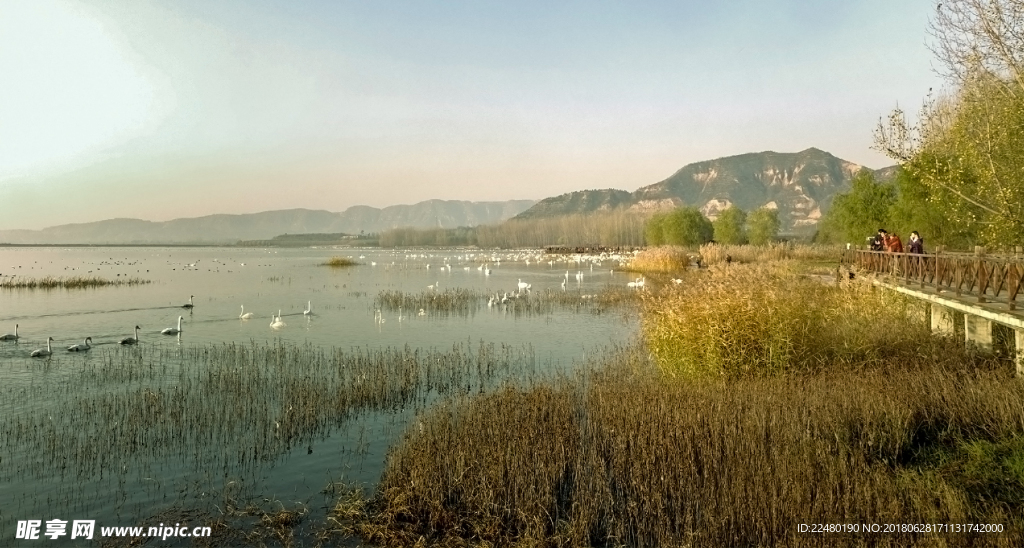 湿地公园自然风景图片