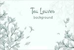 手绘风格的茶叶背景