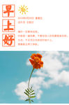 早安图简约
