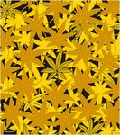 日式花纹图片