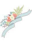 花朵图片