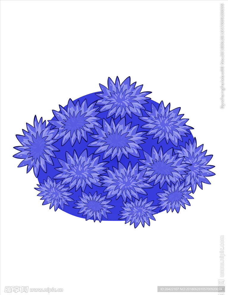 花朵图片