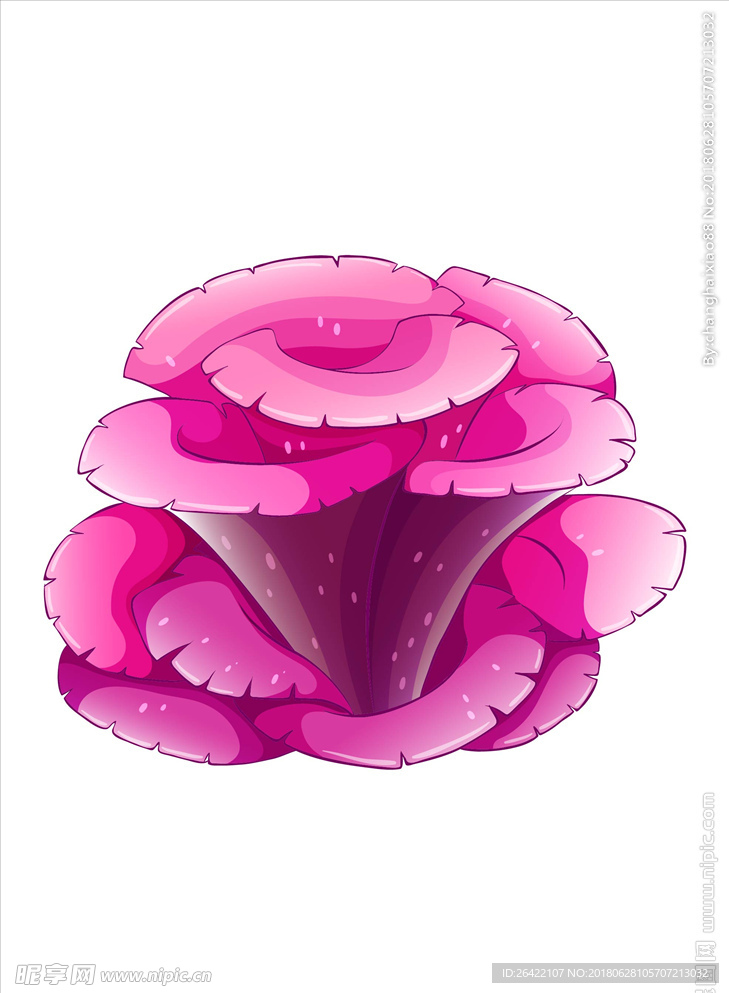 花朵图片