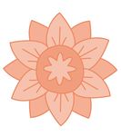花朵图片