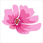 鲜花图片