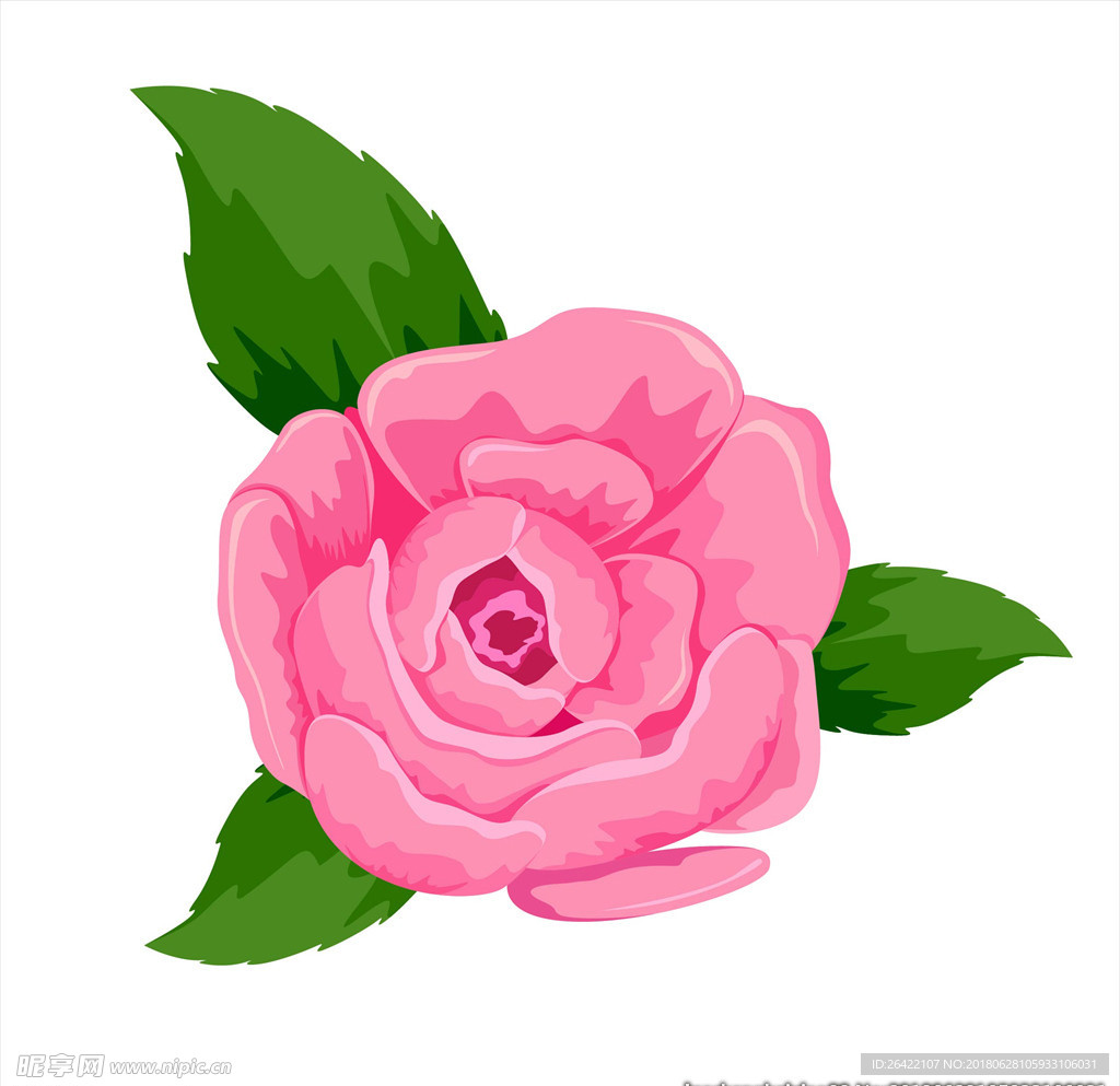 鲜花图片