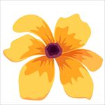 鲜花图片
