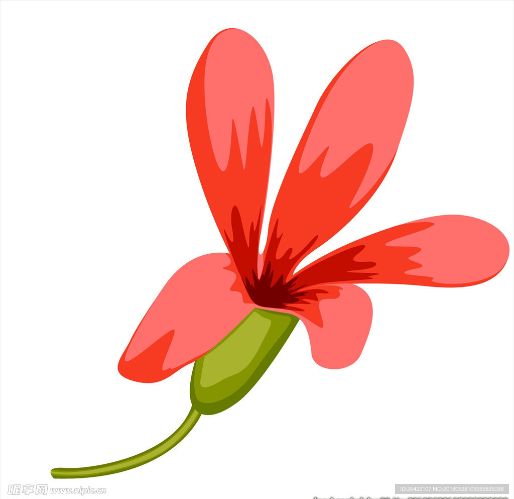 鲜花图片