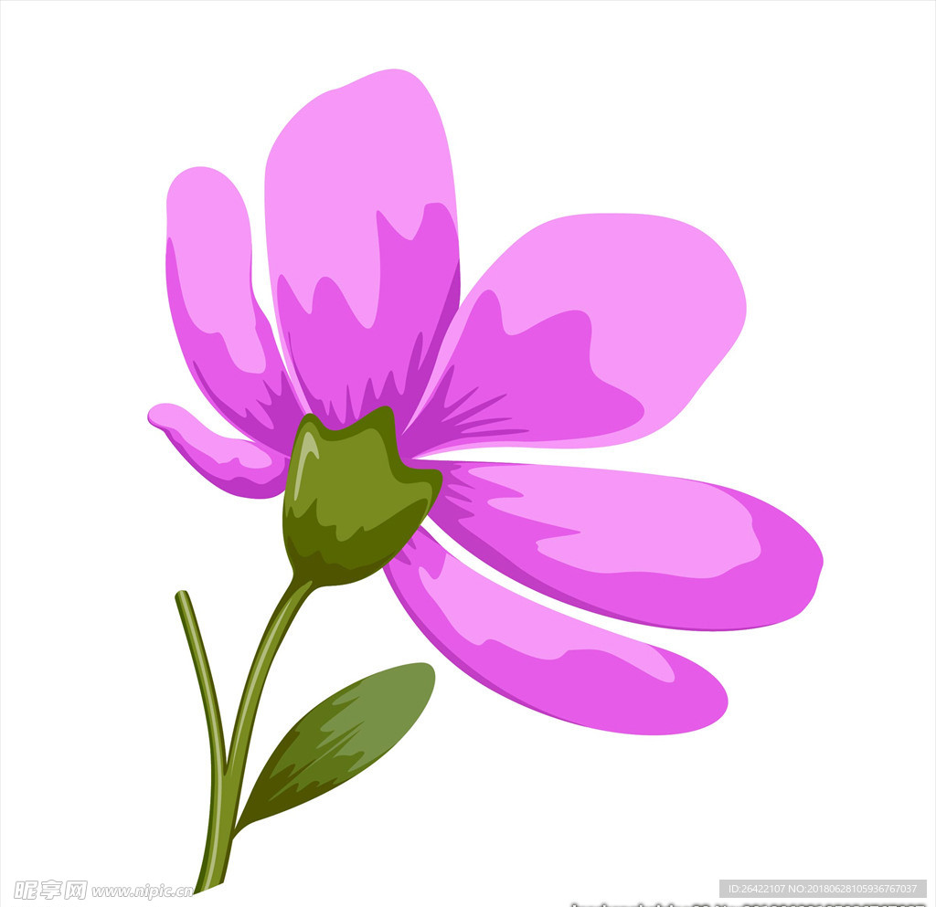 鲜花图片