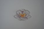 花蕊