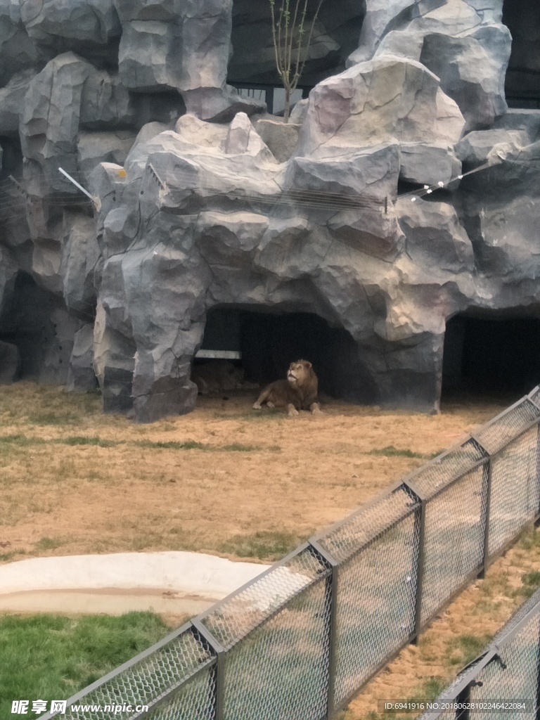 狮虎山  动物园