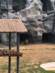 狮虎山  动物园