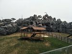 狮虎山  动物园