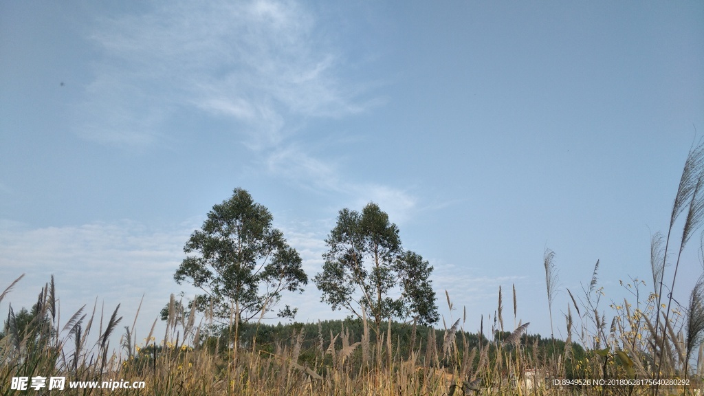 简约风景