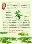 茶文化