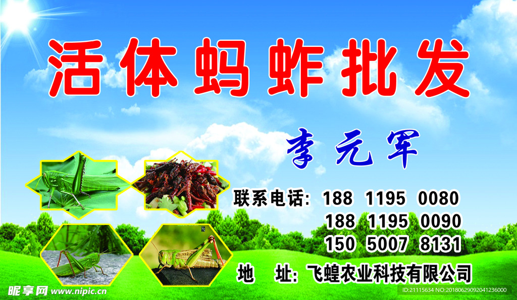 蚂蚱名片