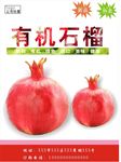 石榴海报