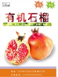 石榴海报