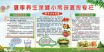夏季养生保健小常识宣传专栏