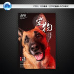 宠物创意海报