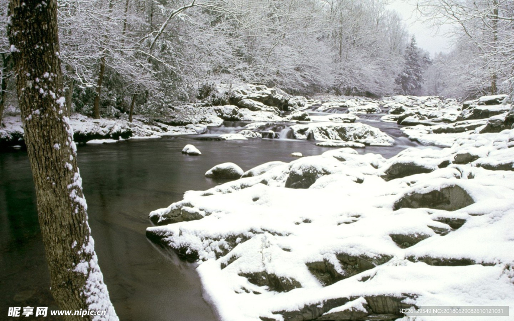 雪景