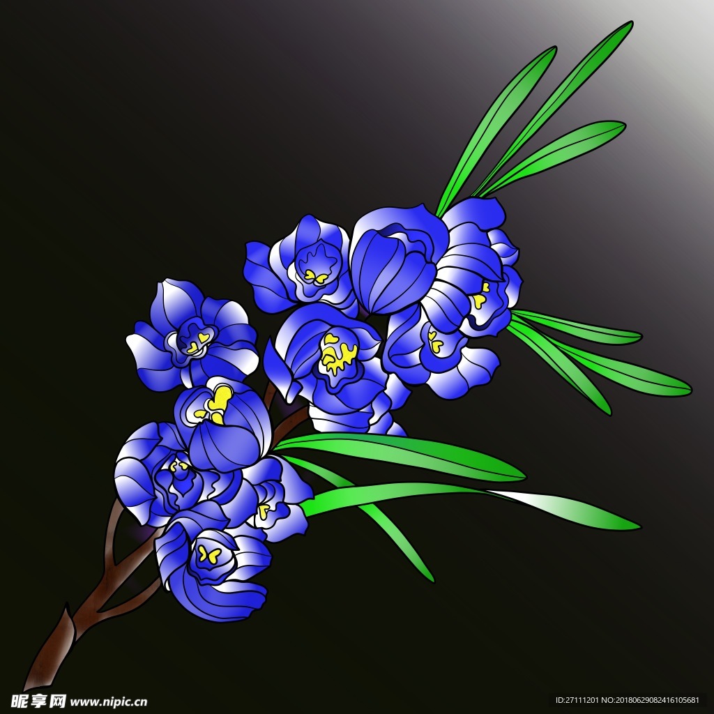 一枝兰花
