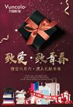 致爱致青春