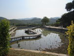 新农村建设
