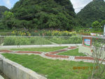 新农村建设