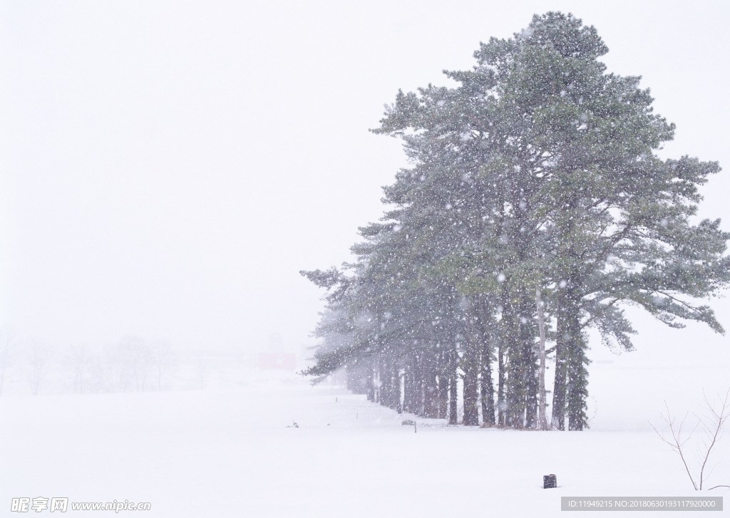 冰天雪地       自然风景