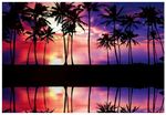 黄昏海滩晚霞中的椰树