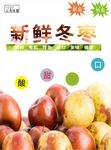 冬枣海报