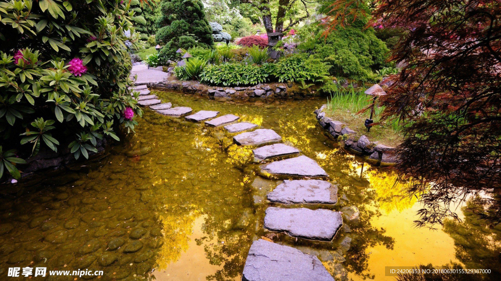 风景