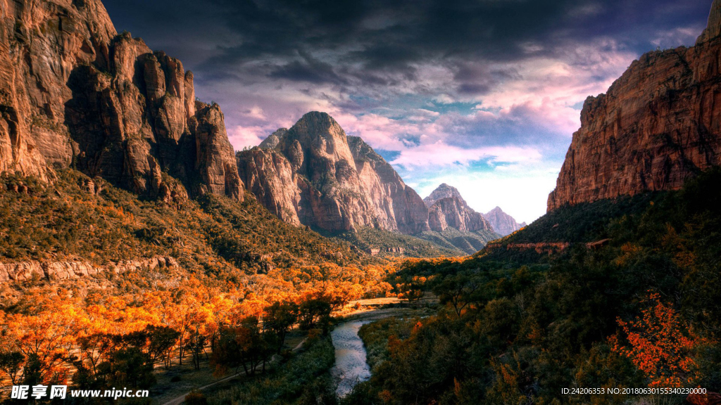 风景