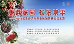 荔枝节 东莞荔枝节 东莞常平