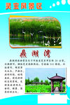 鼎湖湾