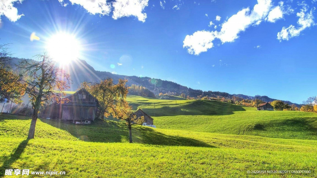 风景