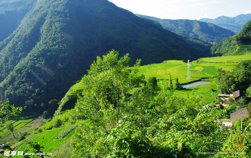 风景