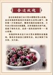 金边玫瑰宣传页
