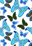 动物图案蝴蝶满身印花图案